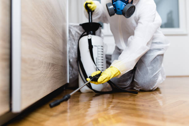 Best Local Pest Control Services  in Knightsen, CA