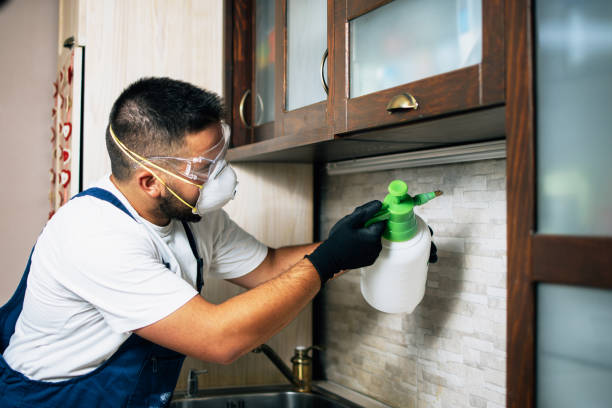Pest Control for Restaurants in Knightsen, CA