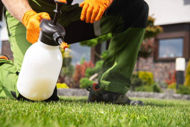 Best Pest Prevention Services  in Knightsen, CA