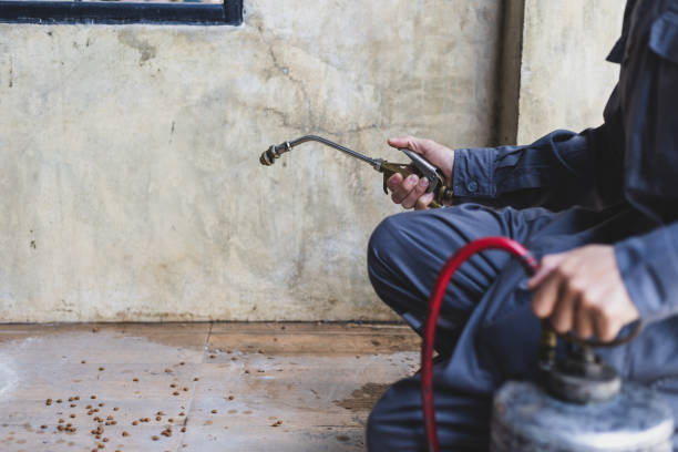 Best Pest Inspection Near Me  in Knightsen, CA