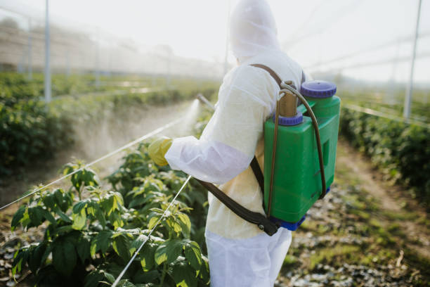 Best Pest Inspection Near Me  in Knightsen, CA